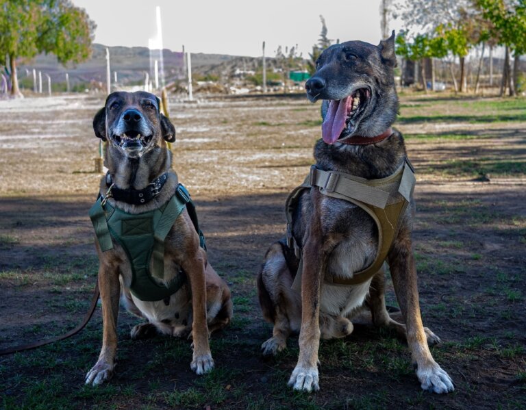 Screenshot_2025-12-19-14-45-23-672_com