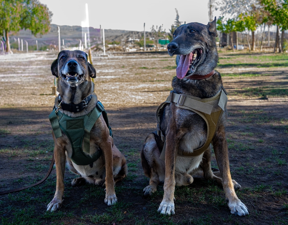 Ankara y Atlas: el retiro de dos guardianes del Servicio Penitenciario