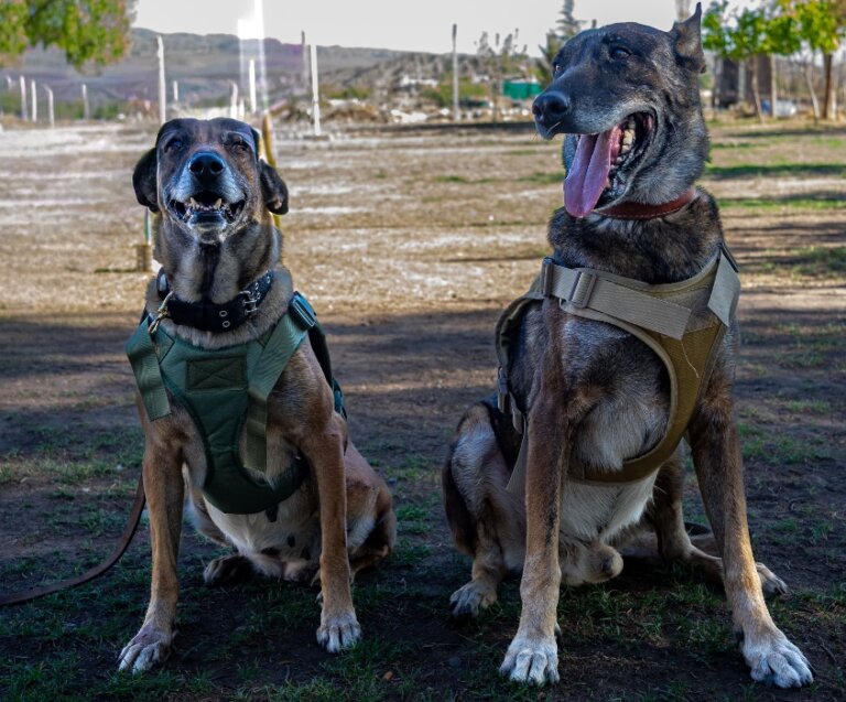 Screenshot_2025-12-19-14-59-11-809_com