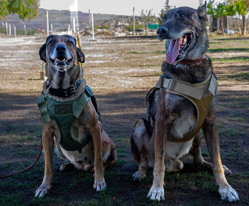Ankara y Atlas: el retiro de dos guardianes del Servicio Penitenciario