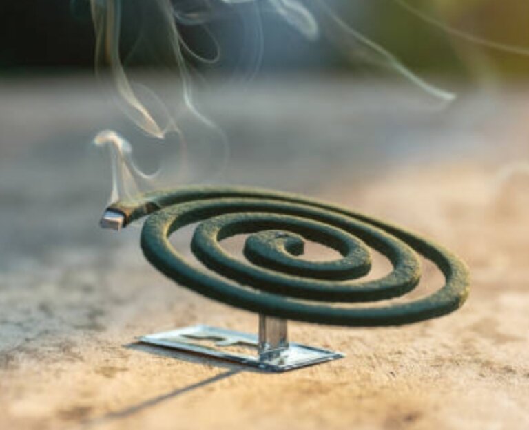 Screenshot_2025-12-22-13-13-42-143_com.google.android