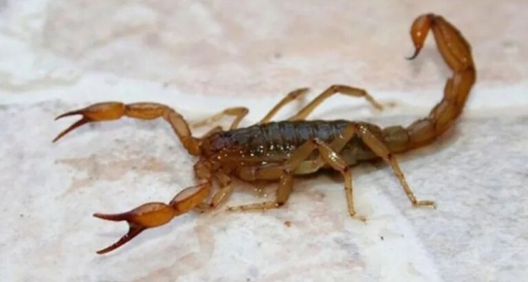 b02c941005b99f34631ff8947364e3e6_L