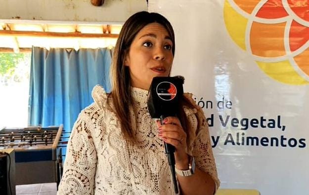 “Dejar uva en las cepas de un año a otro, produjo la llegada de plagas a 9 de Julio” Mayra Manrique ing. agrónoma Ministerio de la producción