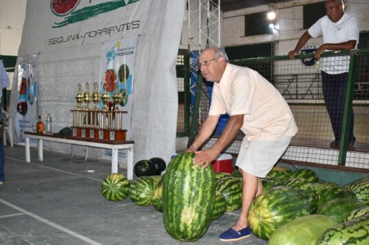 Rompe récord con una sandía monstruosa de 41,8 kilos