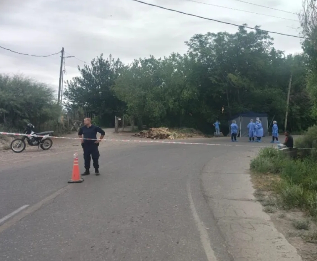 Siguió de largo en una curva, impactó contra un árbol y falleció