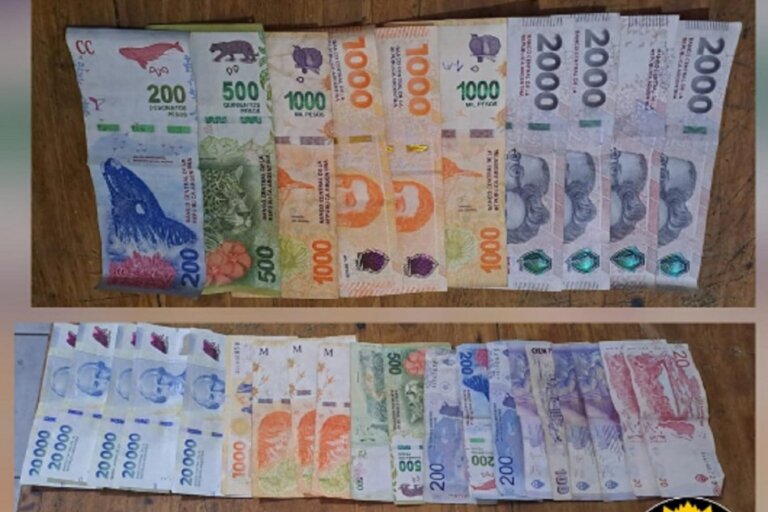 dd173148-7695-4e01-945d-3ce8dc80926a