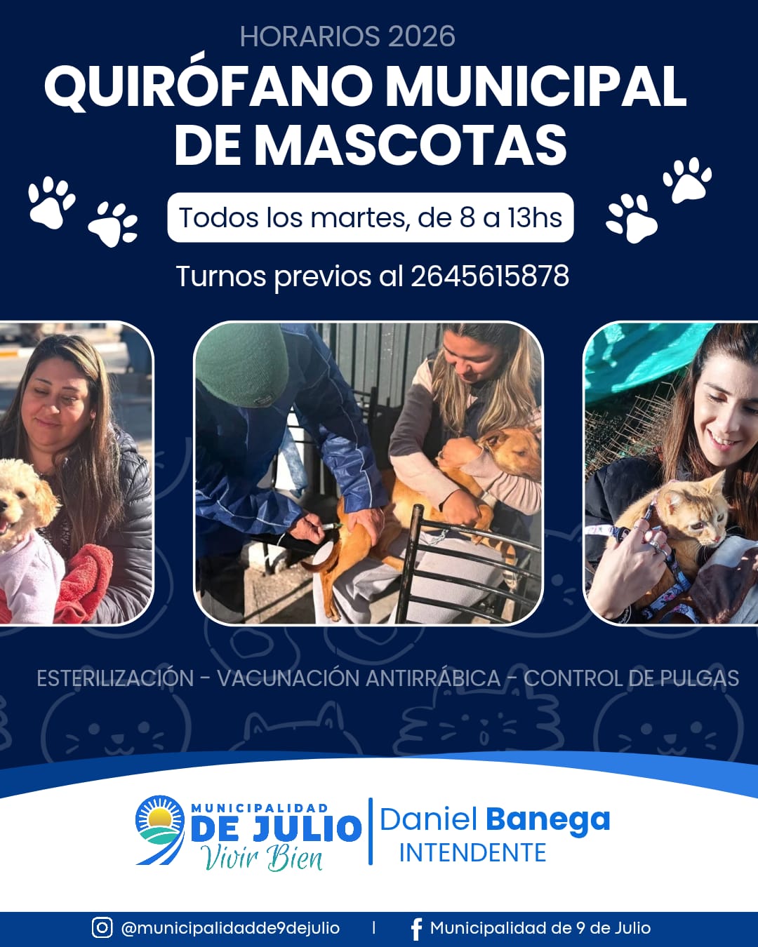Continúan las esterilizaciones y vacunaciones gratuitas en el quirófano municipal de mascotas