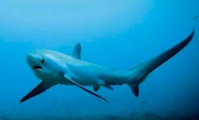 476321528_4570558716504142_4875902385795772766_n