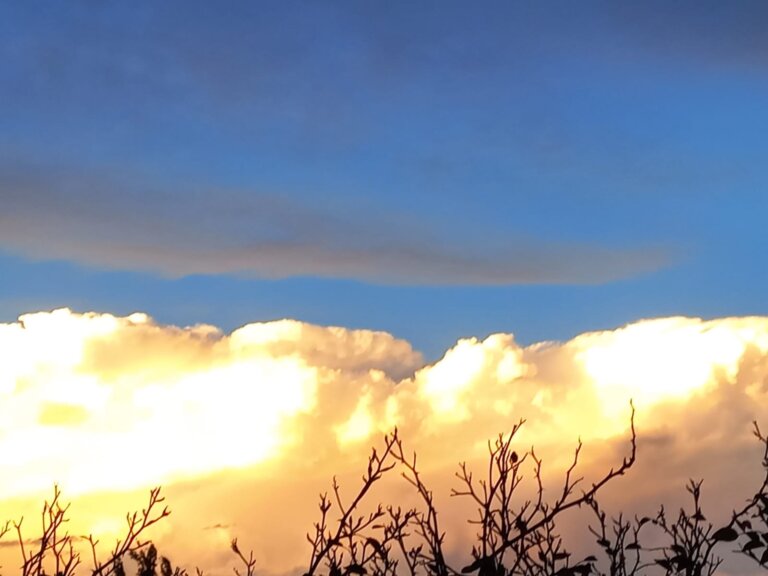 IMG-20260203-WA0001(1)