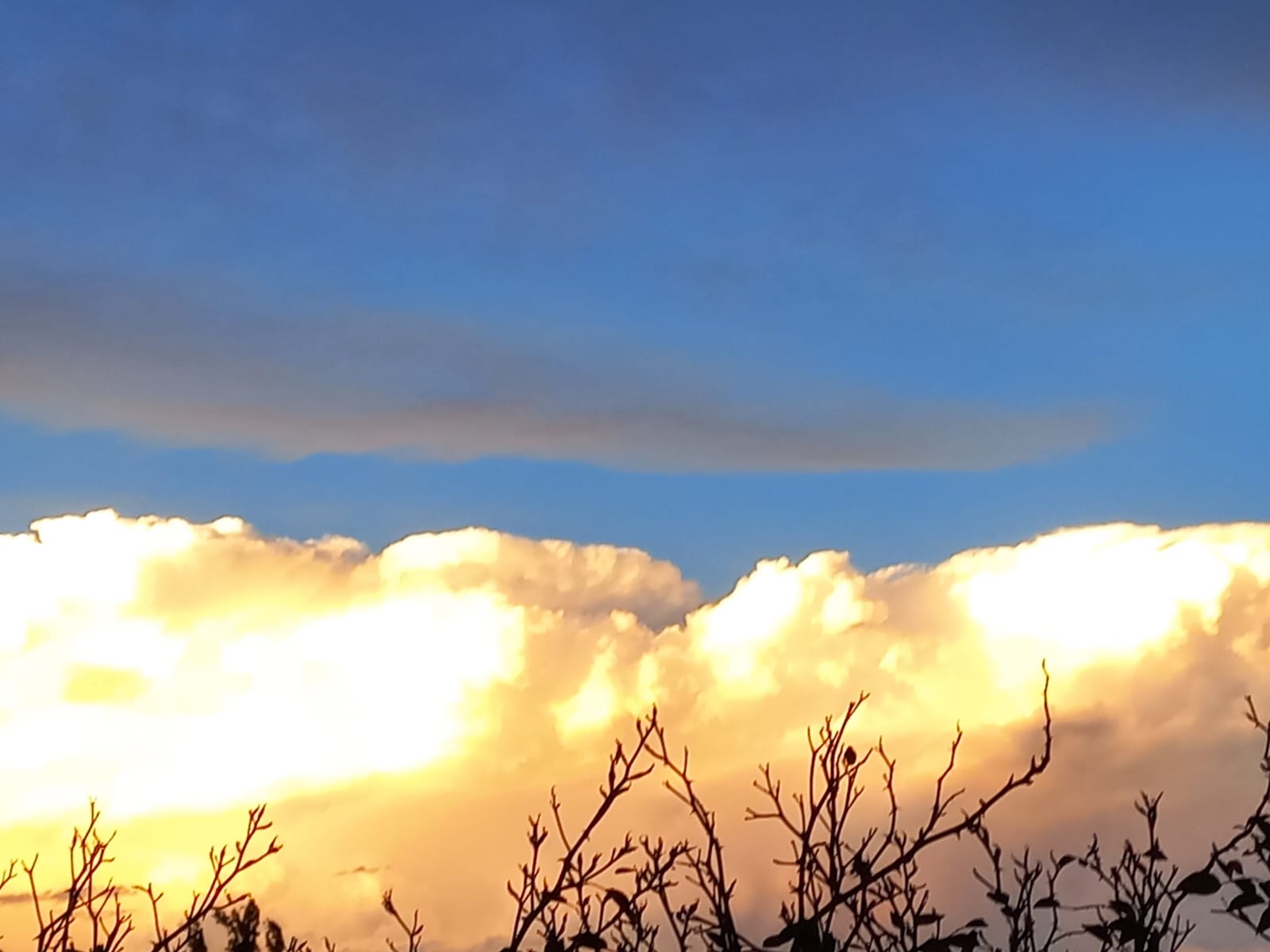Martes con posibilidad de tormentas aisladas