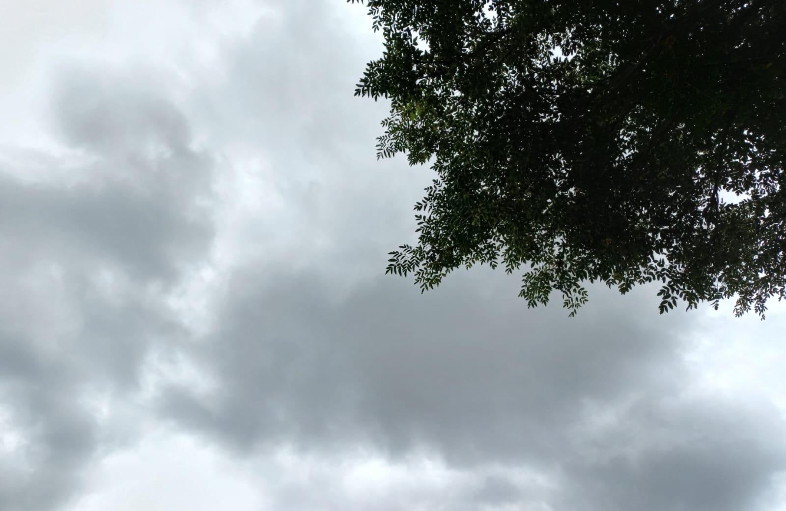 Llegó el alivio a San Juan: un frente frío modifica el tiempo en los próximos días