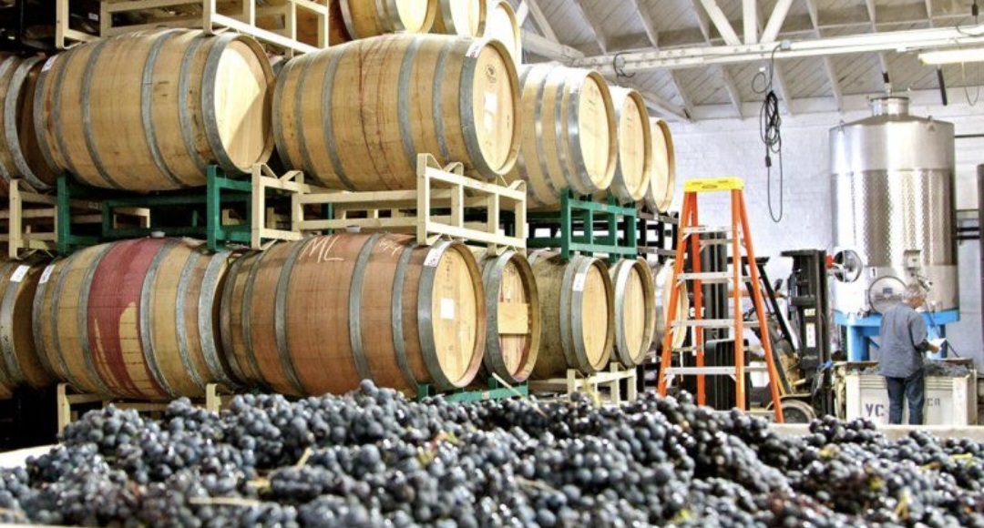 San Juan amplía en $2.500 millones la asistencia financiera al sector vitícola