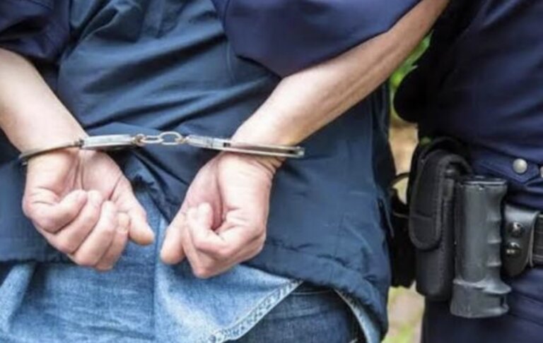 Screenshot_20260219_124806_Google