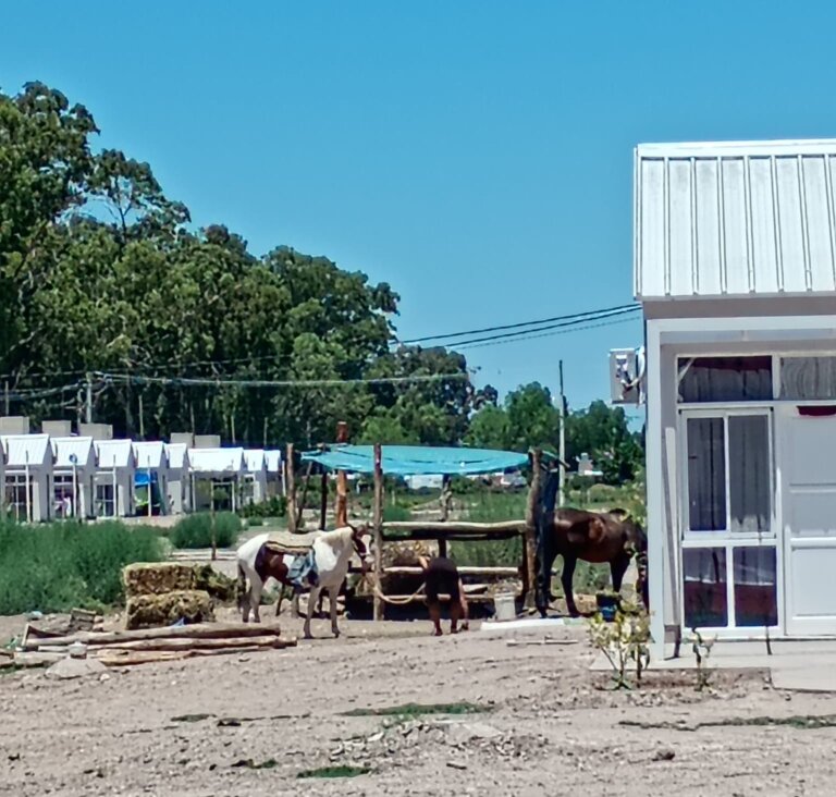 WhatsApp Image 2026-02-11 at 00.04