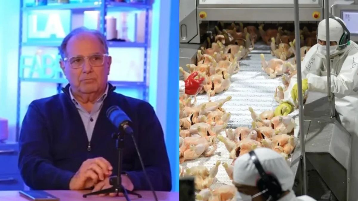 El mayor frigorífico avícola del país quedó al borde del cierre por la importación de pollo brasileño