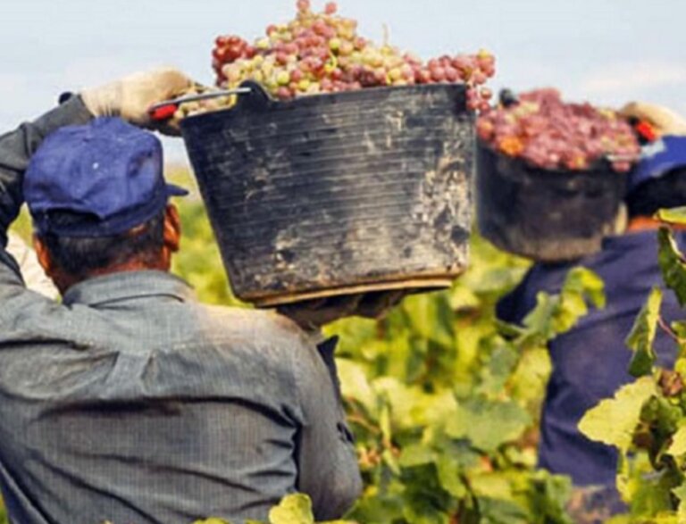 Screenshot_2026-03-04-20-49-11-486_com.google.android