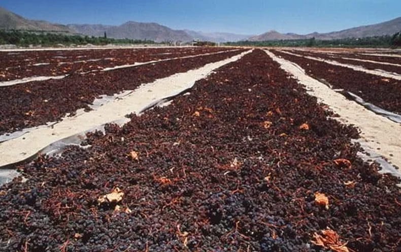 Dulce botín: se llevaron millones en pasas de uva y nadie los vio