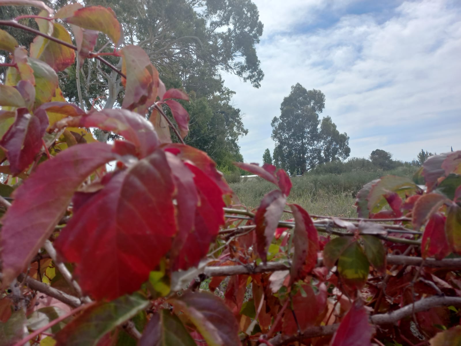 Otoño en su mejor versión: días cálidos en San Juan