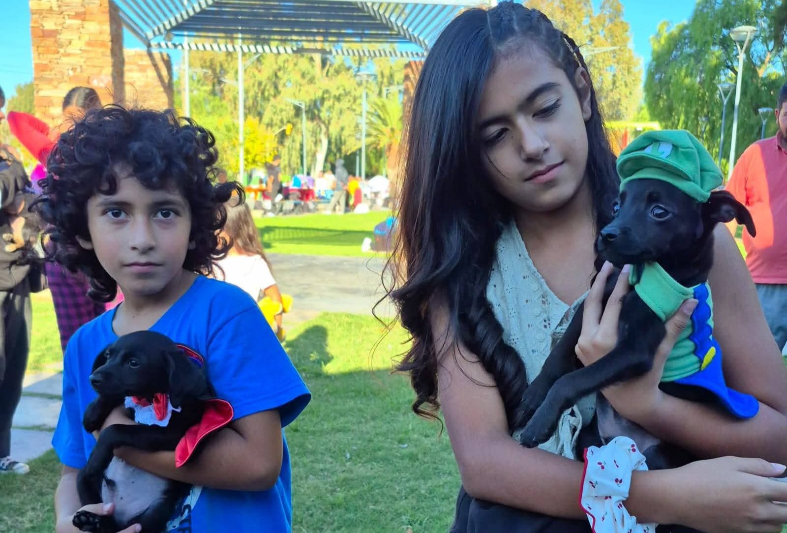 Gran jornada por el Día del Animal en San Martín