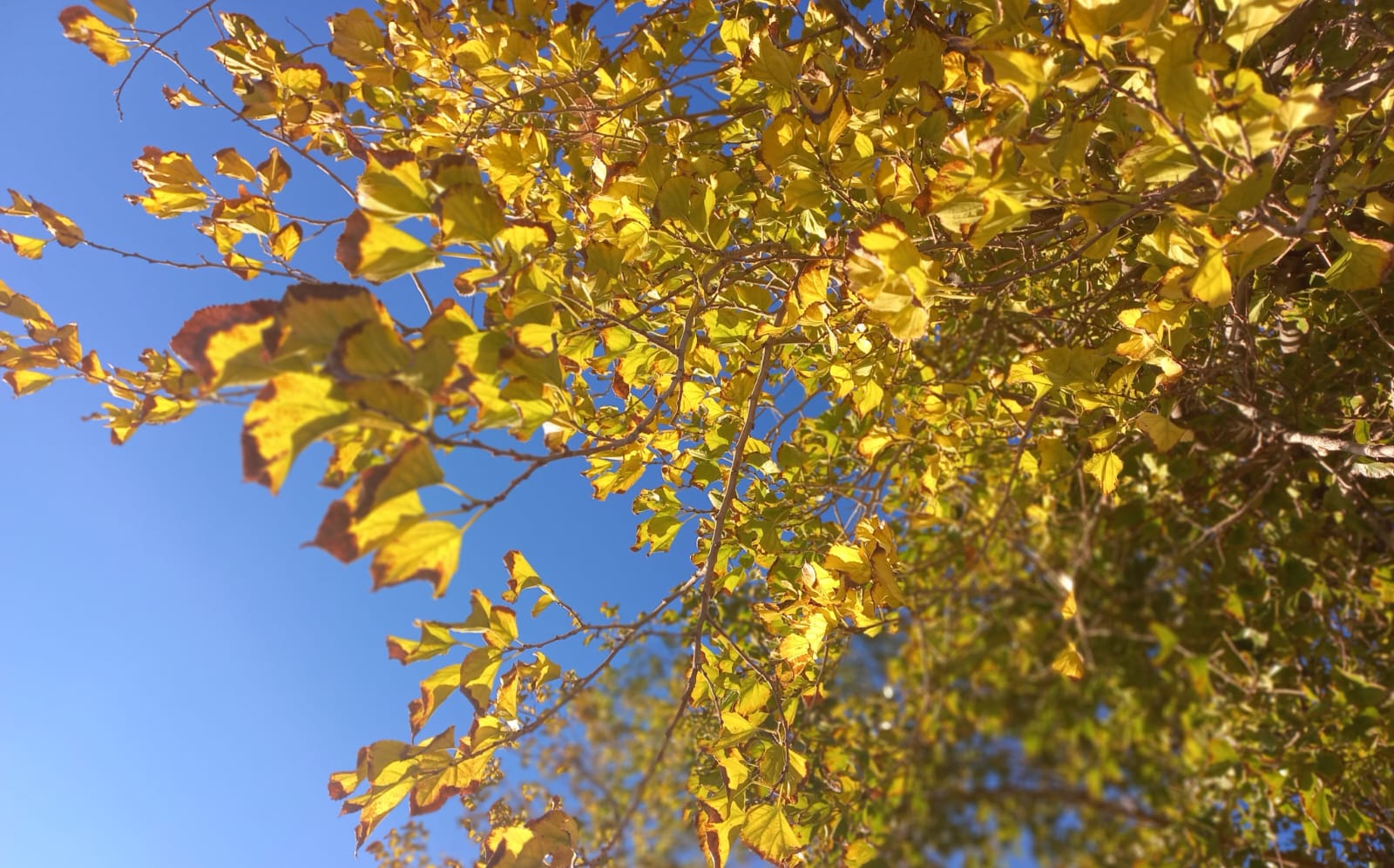Martes y otoño: fresco de mañana, cálido de tarde