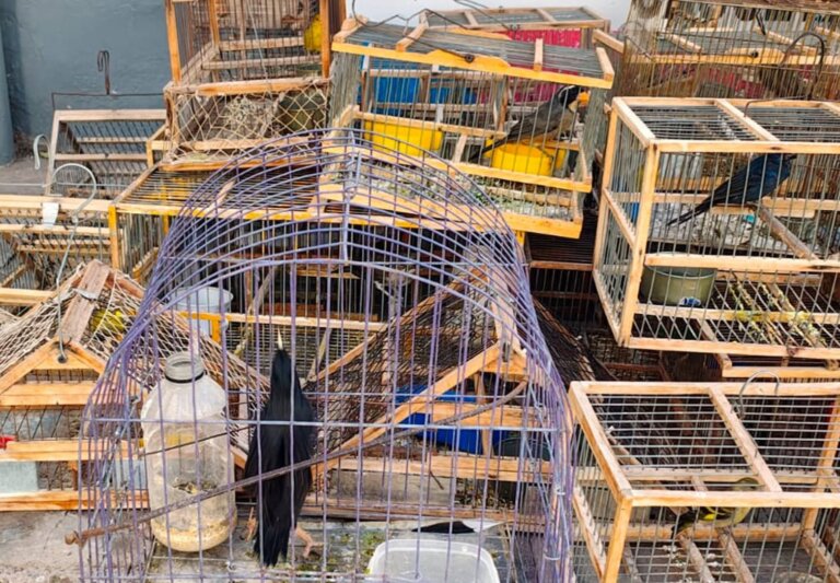 IMG-20260429-WA0060(1)