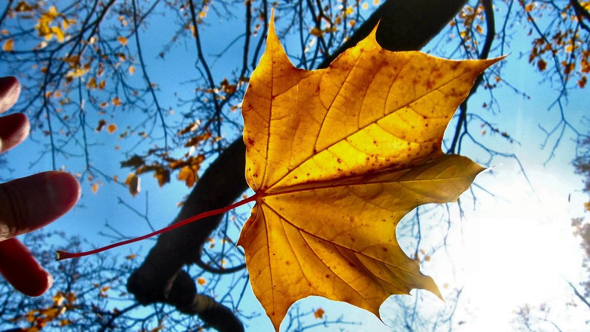 El clima se pone en modo otoño este jueves