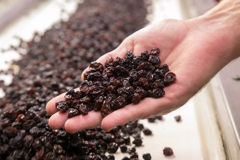 San Juan, protagonista nacional en la producción y exportación de pasas