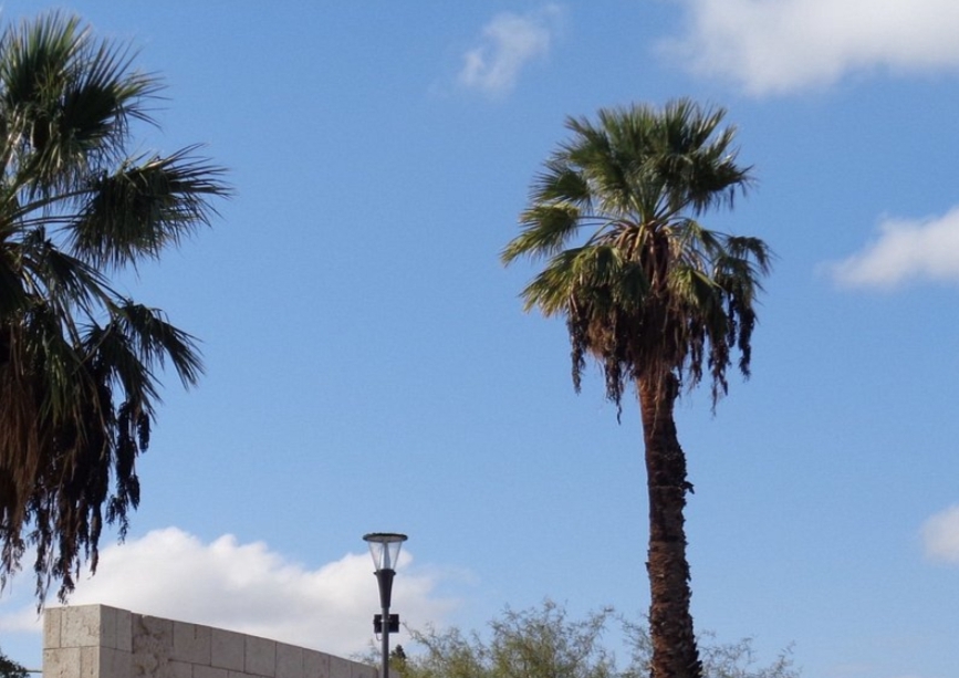 Temperaturas agradables para iniciar el fin de semana