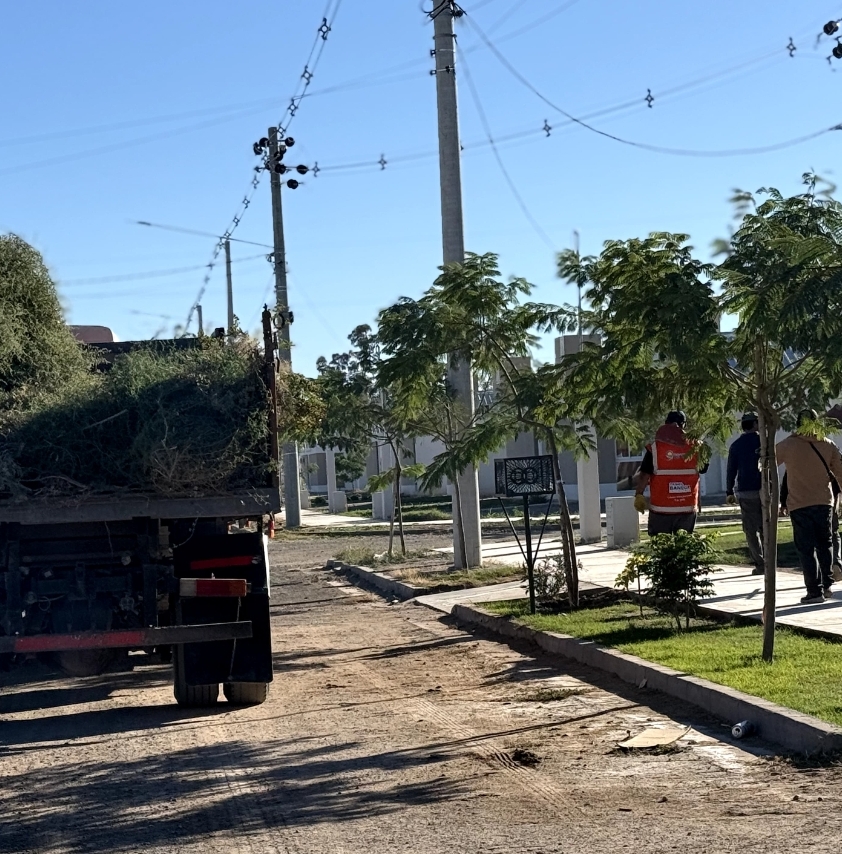 Limpieza integral y mantenimiento de luminarias en el barrio La Majadita