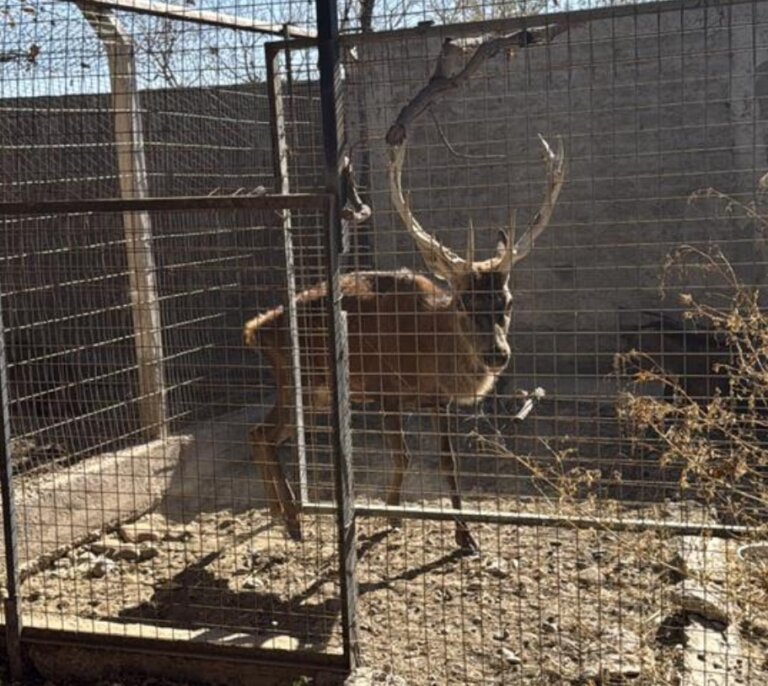 Screenshot_2026-04-28-18-59-56-186_com