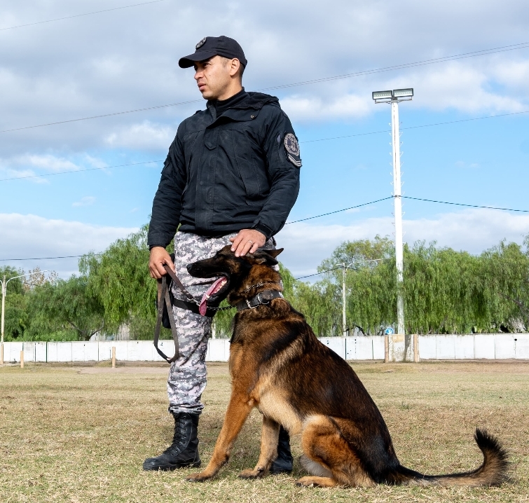 El trabajo con canes y equinos potencia la prevención y el cuidado de los sanjuaninos