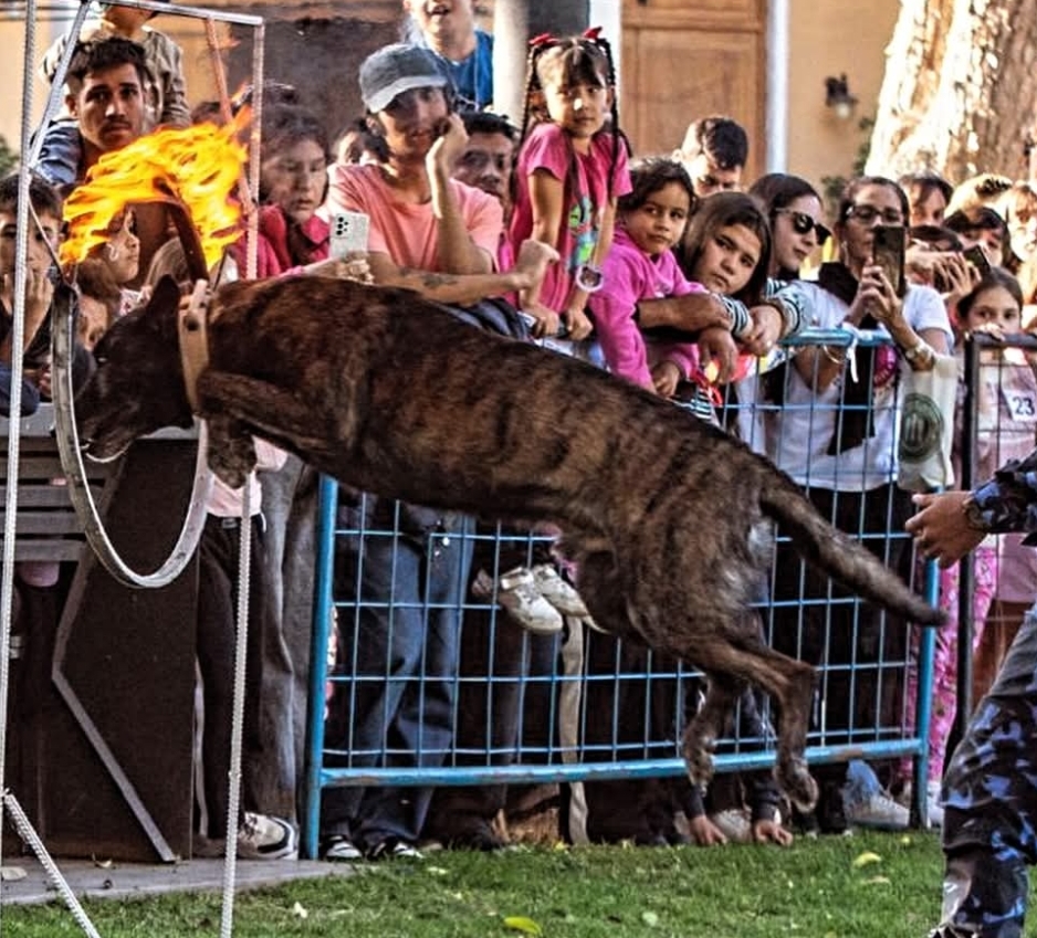 En Santa Lucía se realizó el Desfile de Mascotas