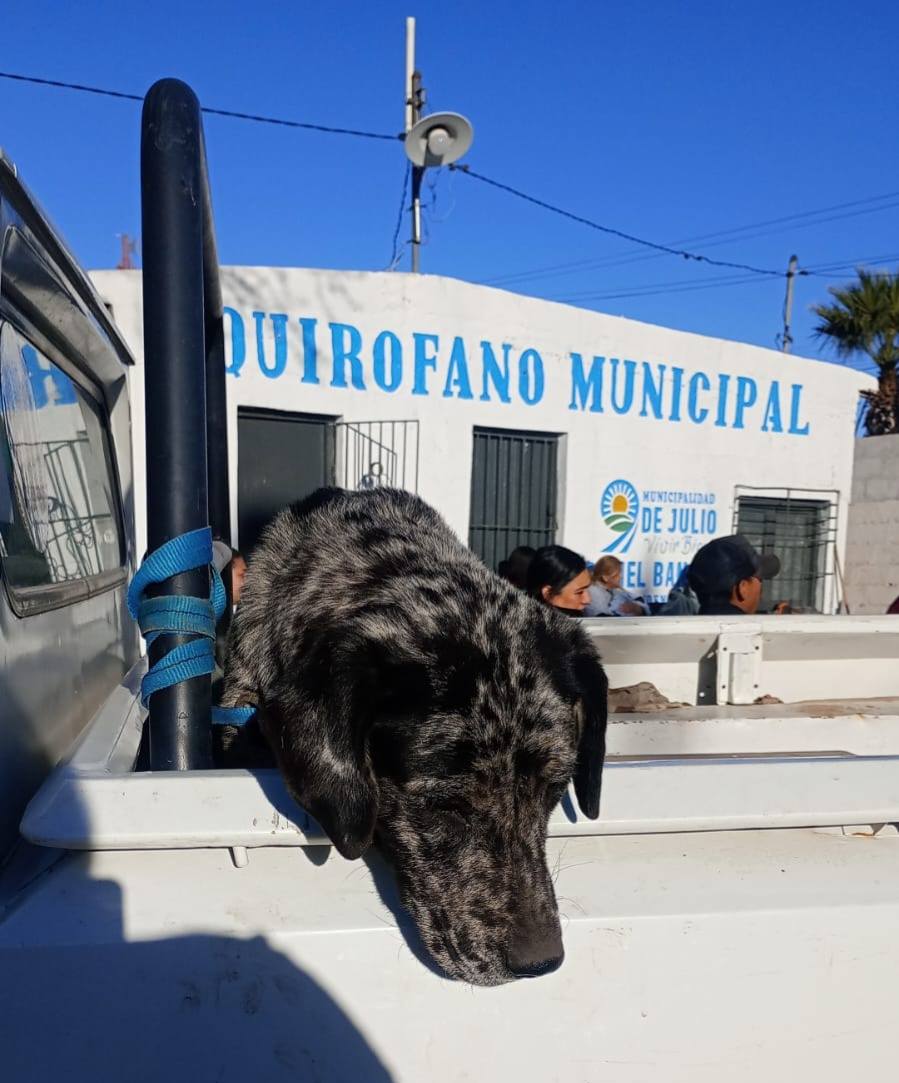 Insultos, Incidentes y amenazas en el quirofano municipal de 9 de Julio