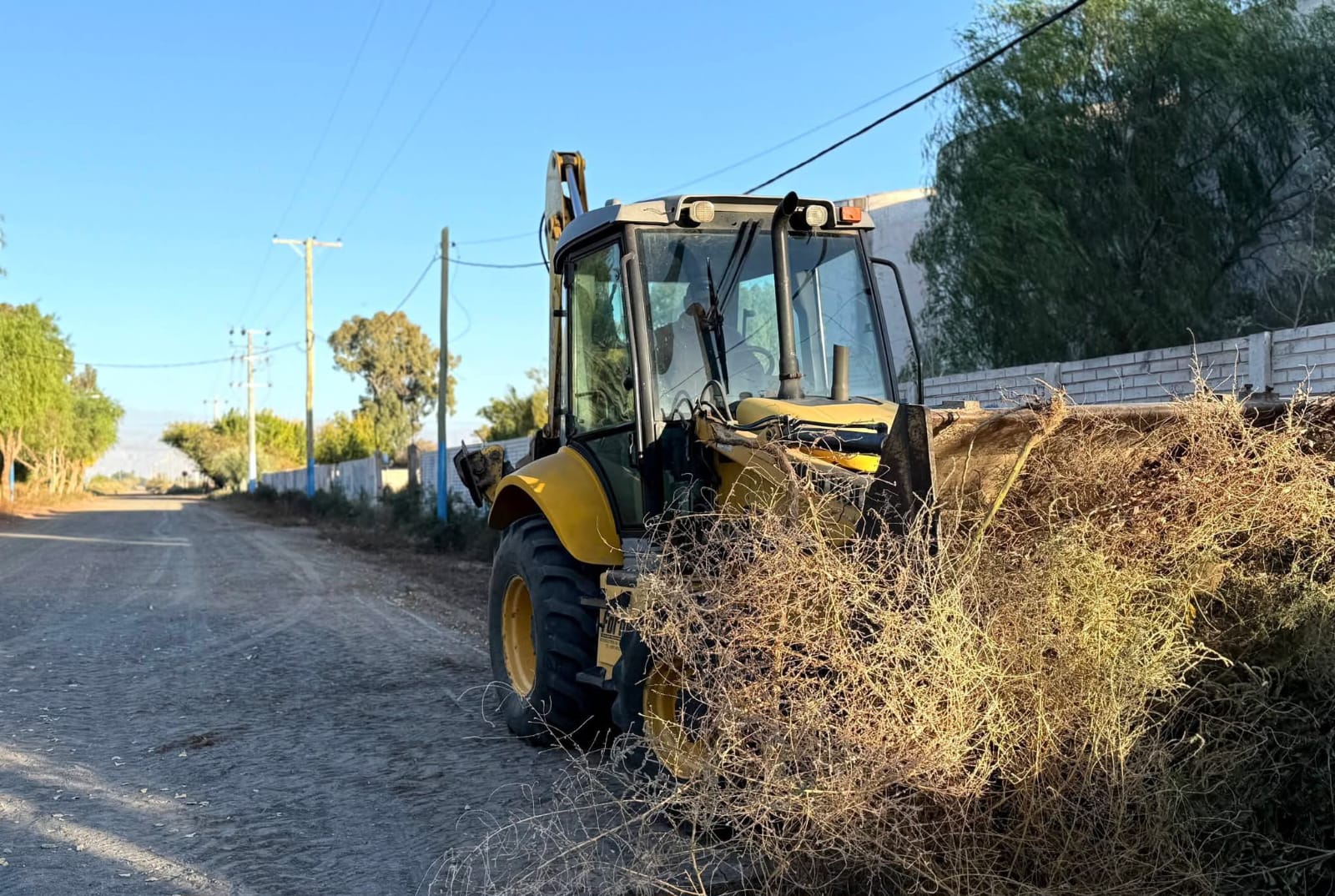 Avanzan los operativos de limpieza en cada barrio: ahora en Palmares