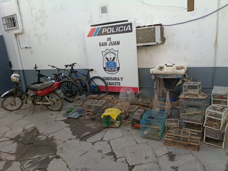 IMG-20260507-WA0074