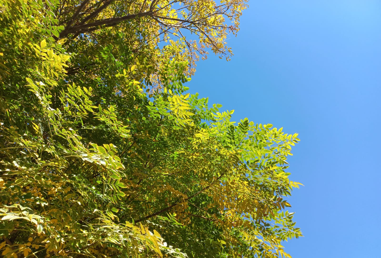Mañana fresca y tarde templada para empezar la semana