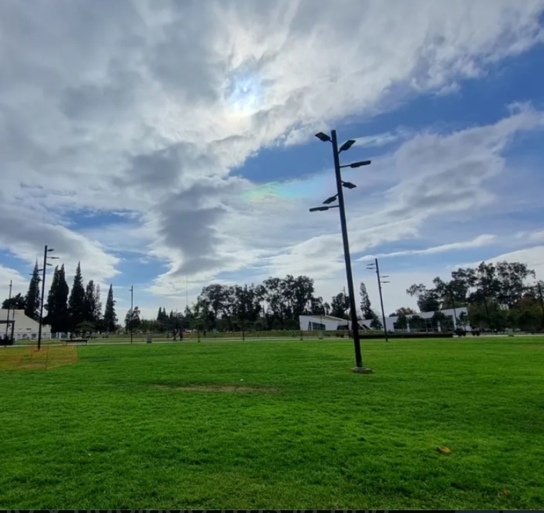 ¿Cómo estará el clima hoy día viernes?