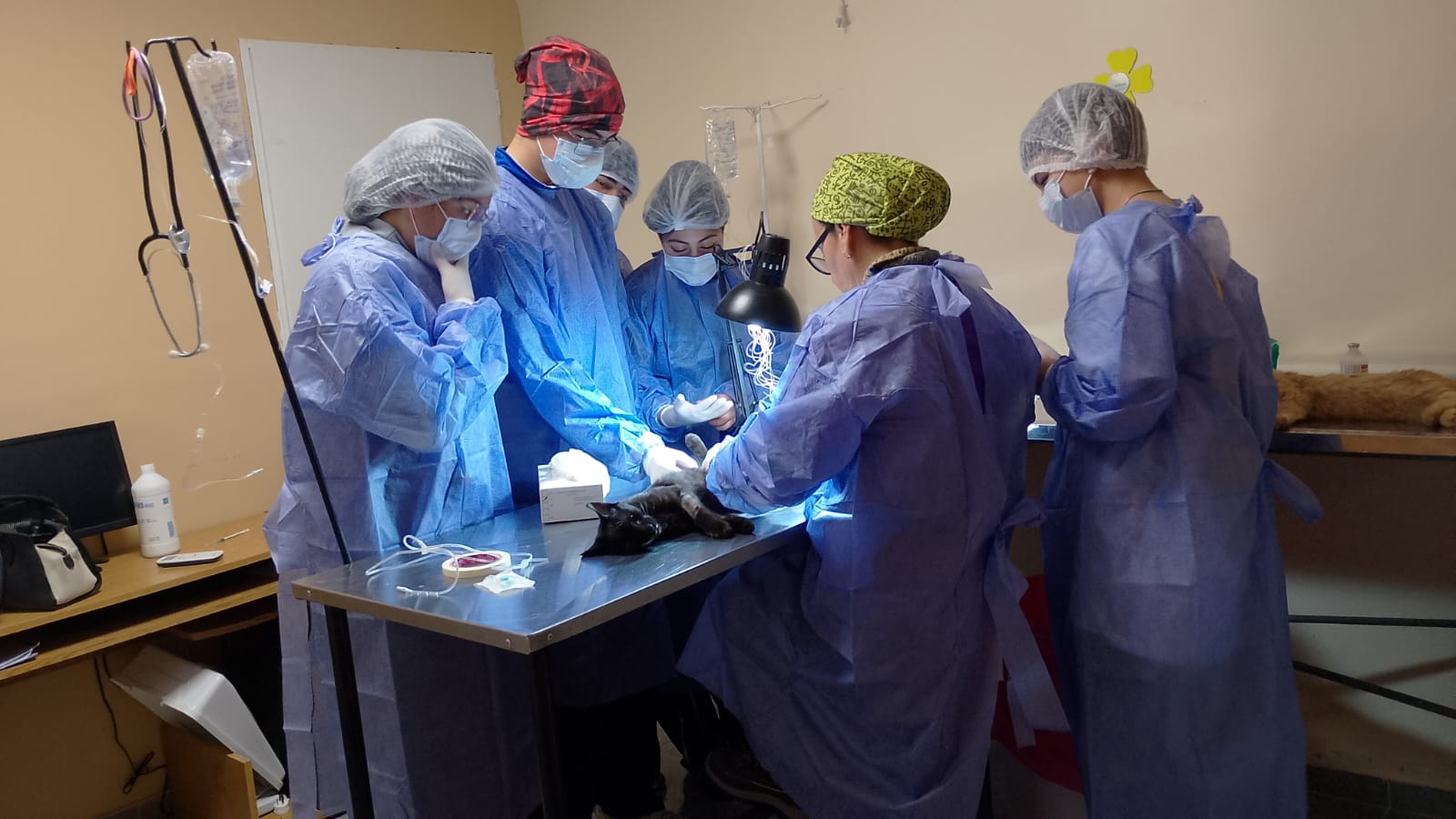 Estudiantes conocieron el trabajo del Centro Municipal de Salud Animal