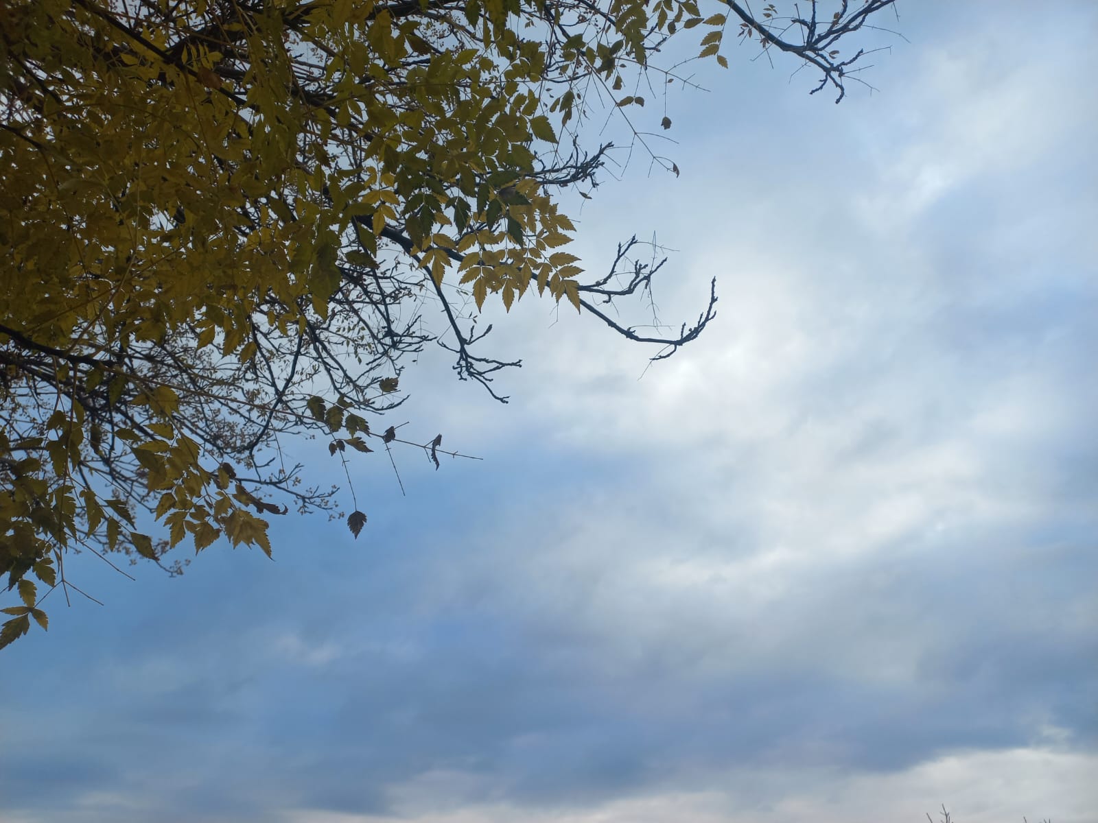 El invierno se hace notar desde temprano