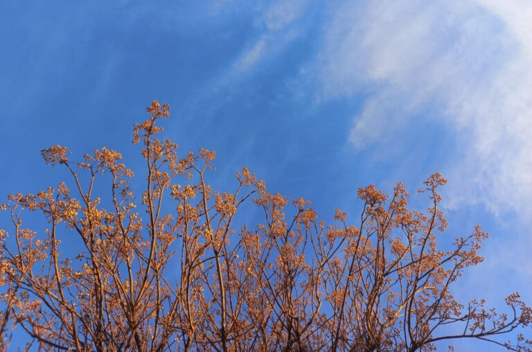 IMG-20260625-WA0071