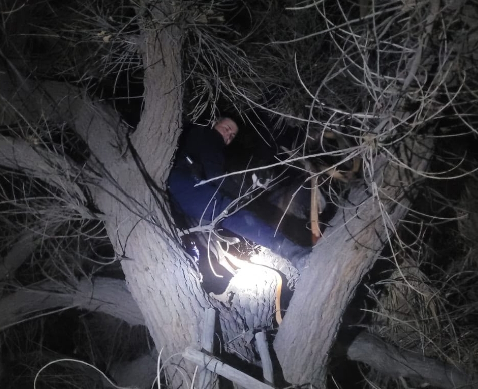 Policía rescata a un perro de un árbol de gran altura en las Chacritas