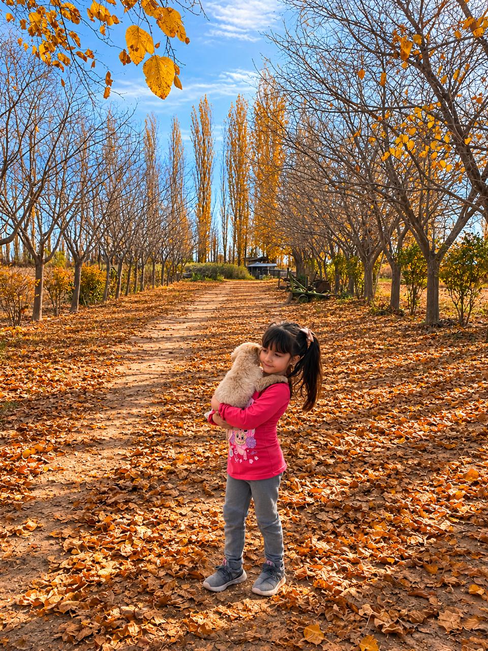 “Otoño cálido en San Juan”