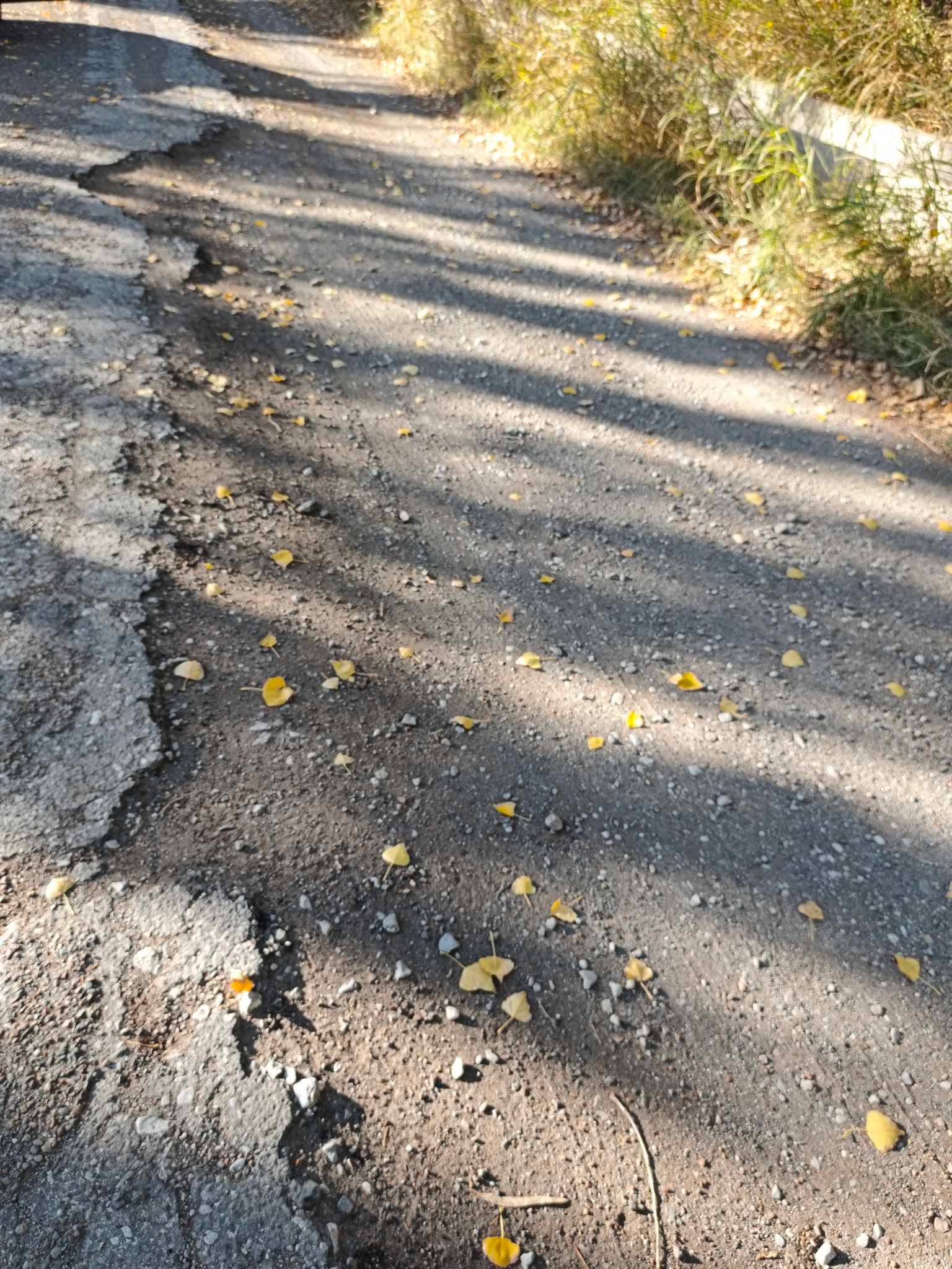 9 de Julio calle Begueri la majadita, imposible transitar por ella