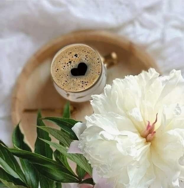 Café: ¿bueno o malo para la diabetes?