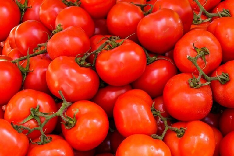 Cosas-que-no-sabias-del-tomate-–-Datos-Curiosos-Sobre-El-Tomate-1200x630