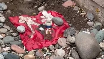 ¿Presunto ritual en El Pinar? lo que encontraron los dejó sorprendidos