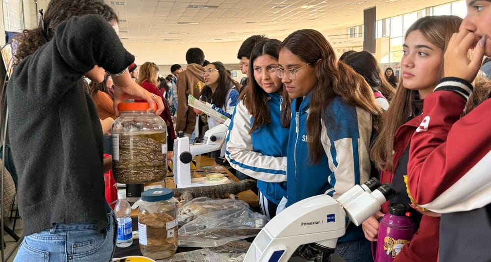 ¿Qué carreras eligen los jóvenes sanjuaninos para su futuro profesional?