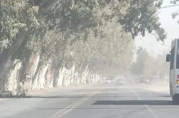San Juan bajo alerta por viento Zonda