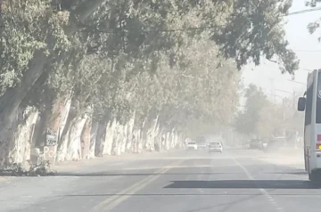 Alerta Amarilla por Viento Zonda
