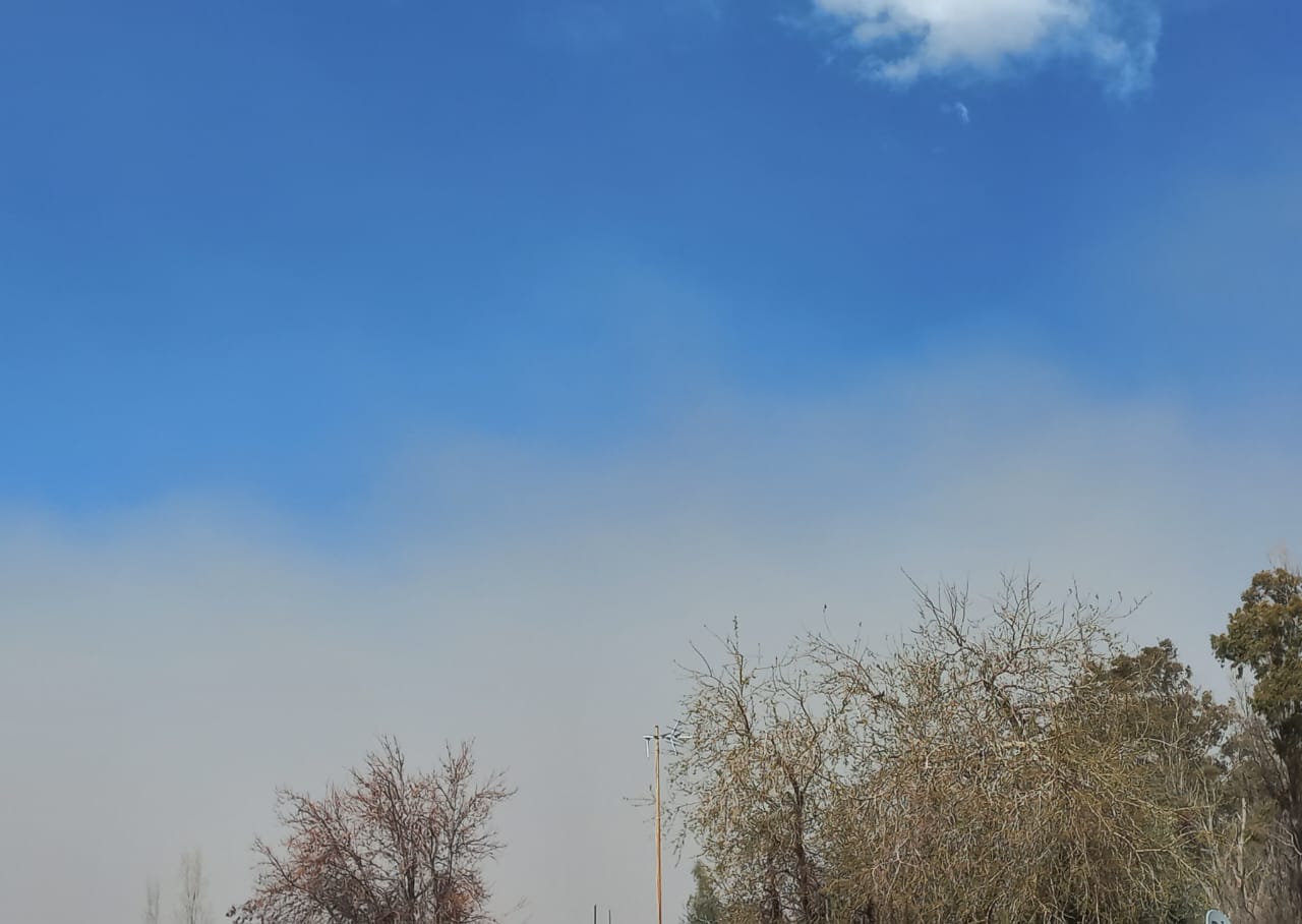 Jueves con viento sur y descenso de temperatura